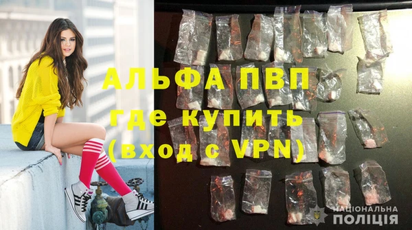 PSILOCYBIN Вязники