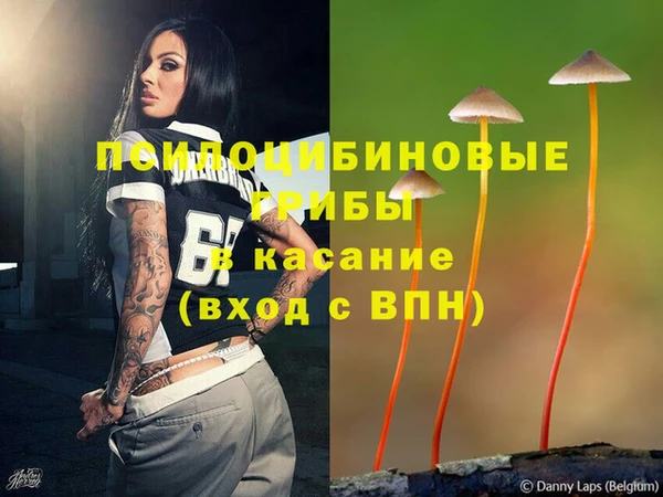 PSILOCYBIN Вязники