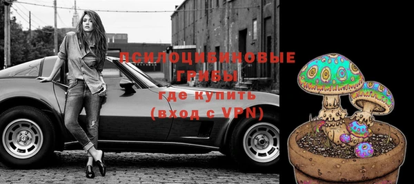 прущий лед Вяземский