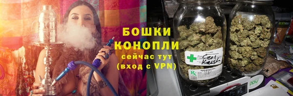 прущий лед Вяземский